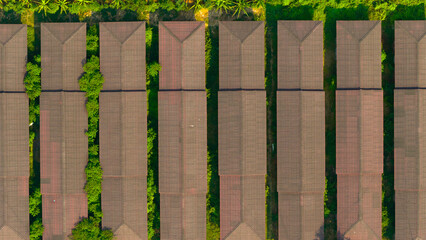 Aerial view of a patterned agricultural landscape showcasing the symmetry between nature and farmland