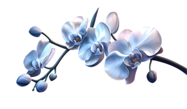 Delicate Blue Orchids Branch with Soft White and Blue Petals and Buds on a Transparent Background, Perfect for Floral and Nature Design Elements - Powered by Adobe