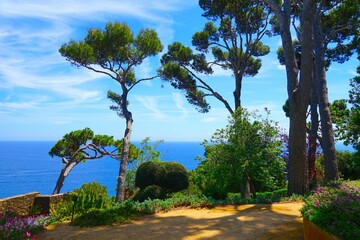 view through pines to the Mediterranean Sea from the botanical garden Jardins de Cap Roig, Girona, Catalonia, Spain