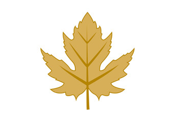 Hojas secas amarillas de árbol en fondo blanco