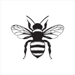 insect, animal, cartoon, fly, isolated, bug, vector, Bee Vector illustration  ,illustration, nature, white, macro, bee, black, beetle, spider, pest, wildlife, tattoo, wasp, cute, drawing, ant, wing, f