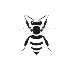 insect, animal, cartoon, fly, isolated, bug, vector, Bee Vector illustration  ,illustration, nature, white, macro, bee, black, beetle, spider, pest, wildlife, tattoo, wasp, cute, drawing, ant, wing, f