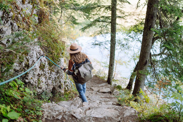 A young woman stands in a sunlit forest, surrounded by tall trees. Travel, nature, hiking concept.