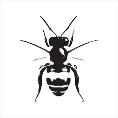 insect, animal, cartoon, fly, isolated, bug, vector, Bee Vector illustration  ,illustration, nature, white, macro, bee, black, beetle, spider, pest, wildlife, tattoo, wasp, cute, drawing, ant, wing, f