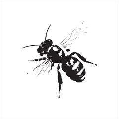 insect, animal, cartoon, fly, isolated, bug, vector, Bee Vector illustration  ,illustration, nature, white, macro, bee, black, beetle, spider, pest, wildlife, tattoo, wasp, cute, drawing, ant, wing, f