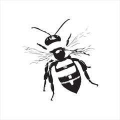 insect, animal, cartoon, fly, isolated, bug, vector, Bee Vector illustration  ,illustration, nature, white, macro, bee, black, beetle, spider, pest, wildlife, tattoo, wasp, cute, drawing, ant, wing, f