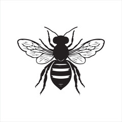 insect, animal, cartoon, fly, isolated, bug, vector, Bee Vector illustration  ,illustration, nature, white, macro, bee, black, beetle, spider, pest, wildlife, tattoo, wasp, cute, drawing, ant, wing, f