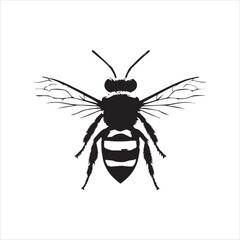 insect, animal, cartoon, fly, isolated, bug, vector, Bee Vector illustration  ,illustration, nature, white, macro, bee, black, beetle, spider, pest, wildlife, tattoo, wasp, cute, drawing, ant, wing, f