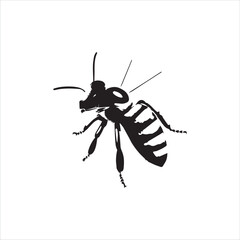 insect, animal, cartoon, fly, isolated, bug, vector, Bee Vector illustration  ,illustration, nature, white, macro, bee, black, beetle, spider, pest, wildlife, tattoo, wasp, cute, drawing, ant, wing, f