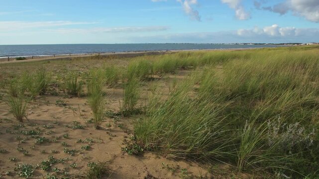 The beach at Chatelaillon-Plage, Charente maritime, Nouvelle-Aquitaine, France