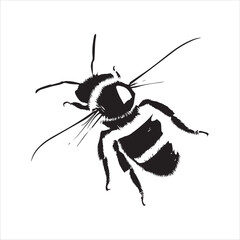insect, animal, cartoon, fly, isolated, bug, vector, Bee Vector illustration  ,illustration, nature, white, macro, bee, black, beetle, spider, pest, wildlife, tattoo, wasp, cute, drawing, ant, wing, f