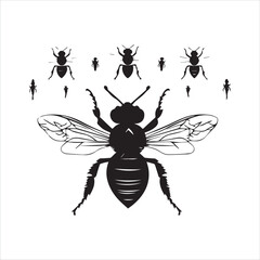 insect, animal, cartoon, fly, isolated, bug, vector, Bee Vector illustration  ,illustration, nature, white, macro, bee, black, beetle, spider, pest, wildlife, tattoo, wasp, cute, drawing, ant, wing, f