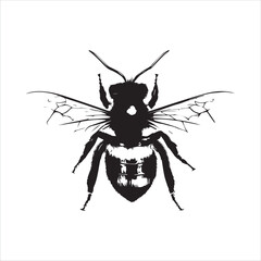 insect, animal, cartoon, fly, isolated, bug, vector, Bee Vector illustration  ,illustration, nature, white, macro, bee, black, beetle, spider, pest, wildlife, tattoo, wasp, cute, drawing, ant, wing, f