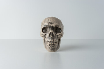 Halloween skull head on white background. Minimal holiday concept.