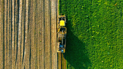 Aerial view of agricultural harvester in field. A top-down aerial view of an agricultural harvester working in a field.