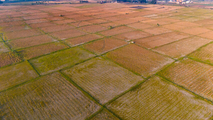 The golden patchwork of a vast farmland captured from the sky, showcasing the geometric beauty of rural agriculture at sunset