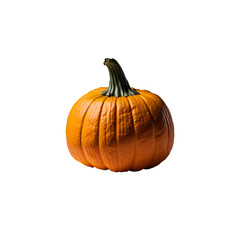 orange pumpkin