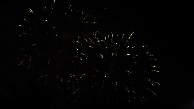 Golden green sparks scatter fireworks on the black night sky