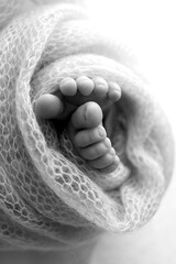 Foot of a newborn. Close up feet, toes, heels, feet of a newborn baby. Studio monochrome, vintage style, black and white macro photography.