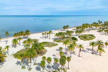 Tropical paradise with palm trees lining sandy beach