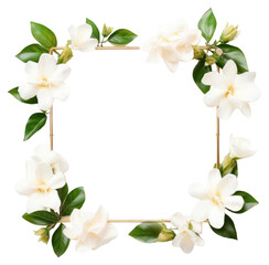 Fototapeta premium PNG Flower gardenia wreath plant.