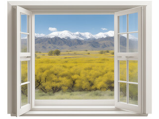 window with nature view