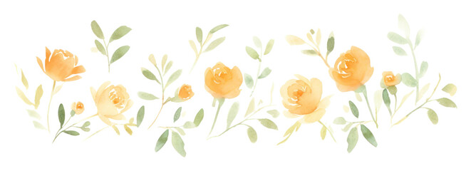 Obraz premium PNG Orange roses as line watercolour illustration pattern flower plant.