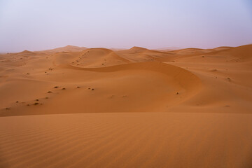 Panoramic View of Solitary Dunes in Erg Chebbi Desert
