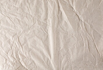 Wrinkly blank shopping paper bag texture and background
