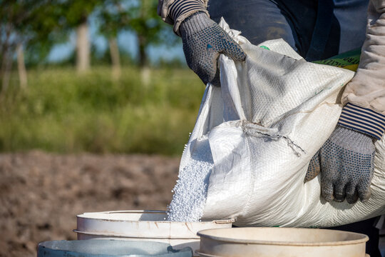 A farmer fills chemicals into the tank of a large agricultural drone to fertilize a planted field.