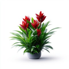 Exotic Koyram Plant on White Background in Raw Style