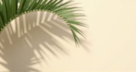 Obraz premium palm tree leaves