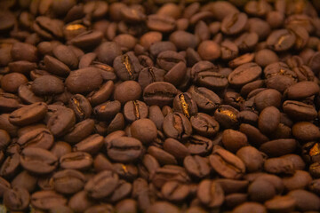 Coffee Beans 03
