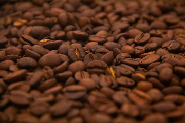 Coffee Beans 01