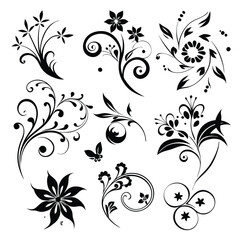 Exquisite Floral Vector Designs