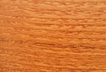 Naklejka premium Wooden texture, acacia wood texture as background