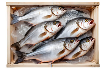 Obraz premium A freshly caught fish packed in plastic and a wooden crate, isolated on a transparent or white background.