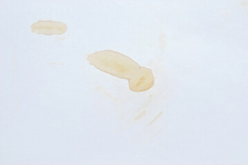 A sheet of old grunge stained paper for background