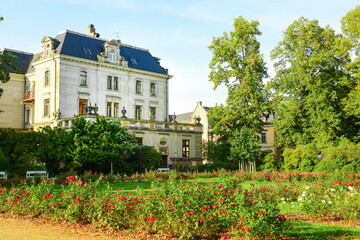 Obraz premium View of beautiful building and flowers on sunny day