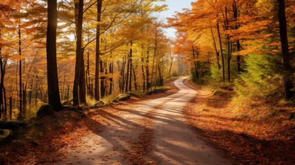 Naklejka premium Autumn road in the forest with yellow leaves and trees in the background