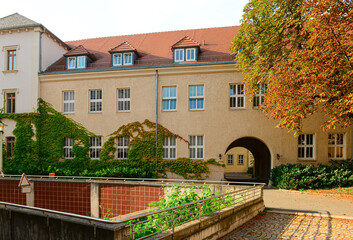 View of beautiful building with windows and ivy