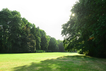 Fototapeta premium View of park with green grass and trees