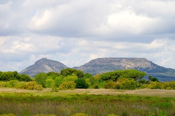 Fototapeta premium landscape in Catalonia with a view to the inland and the mountains near Torroella de Montgrí with the Castell del Montgrí, Catalonia, Girona, Spain