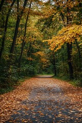 Obraz premium Autumn Path Through Colorful Forest, Golden Leaves, Pathway in Woods