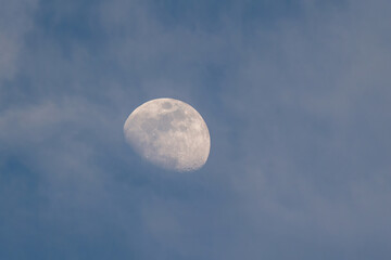 Half moon (first quarter). Copy space.
