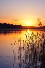 Golden Hour Sunset Over Lake with Grass