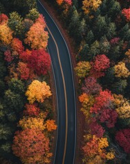 Leaf, change, nature, yellow, orange, autumn, trees, aerial, road, landscape, northeast, new england, country, autumn, trees, aerial, road, landscape, pattern, color, yellow, orange, forest, pattern,