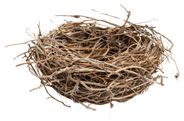 PNG Empty bird nest on white