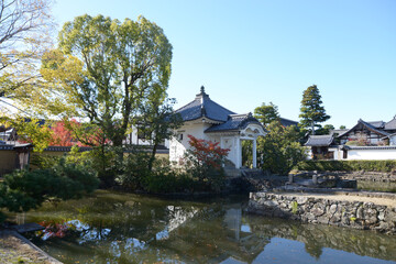 妙心寺　蓮池　京都市右京区花園