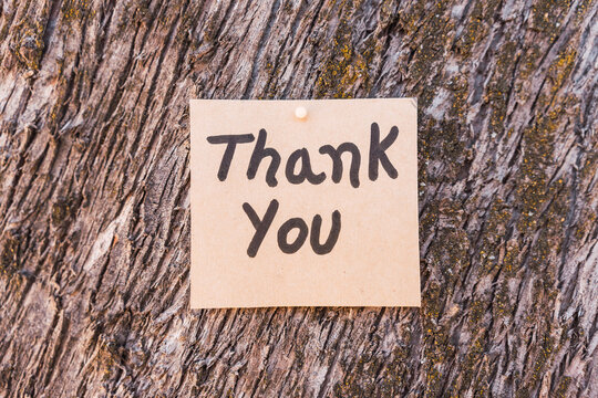 word thank you written and drawn on recycled cardboard with a textured tree bark background.